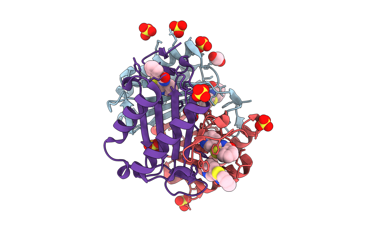 5B4O image