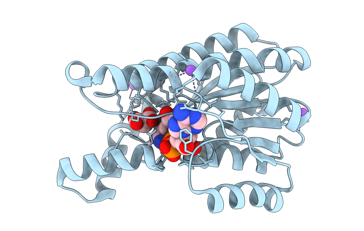 5B4V image