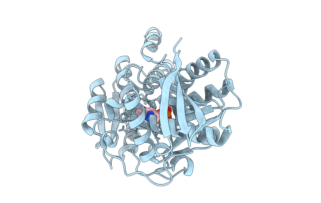 5B53 image