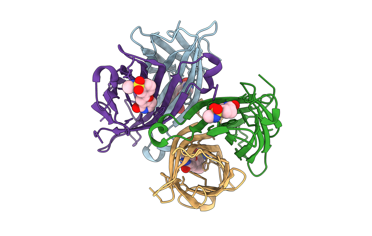 5B5F image
