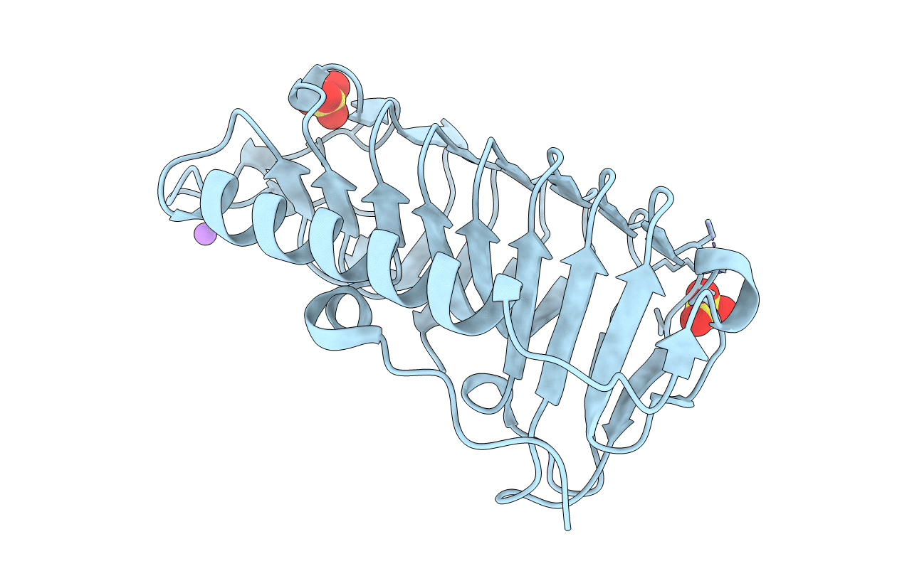5B5H image