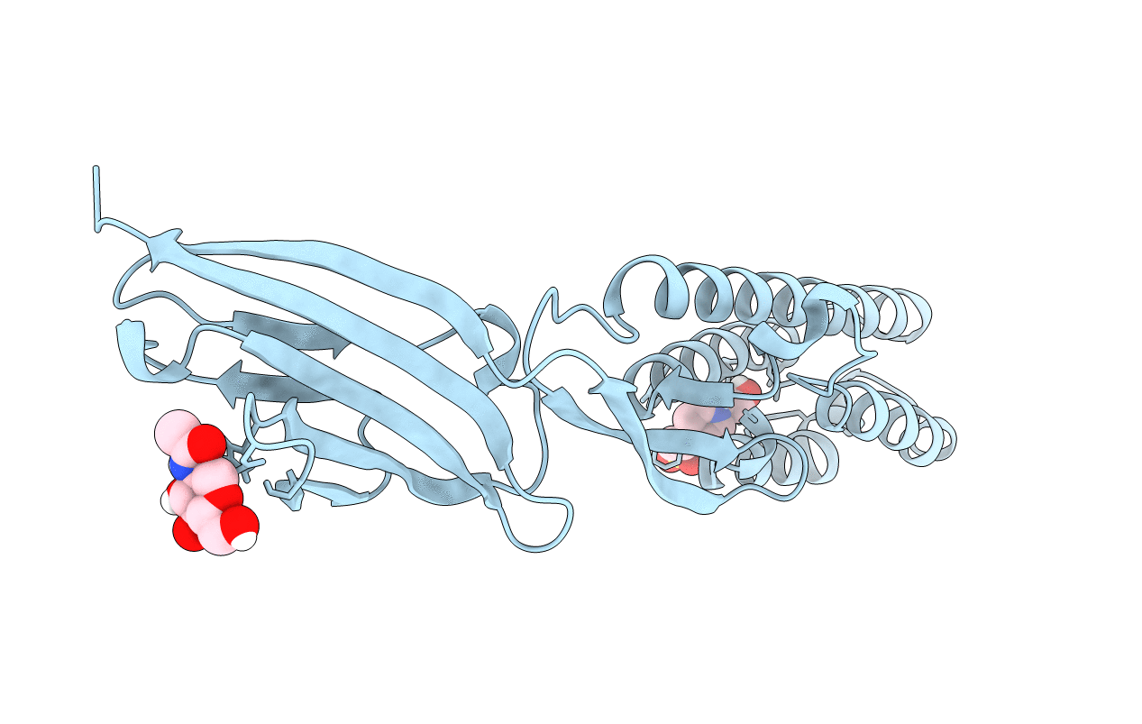 5B5K image