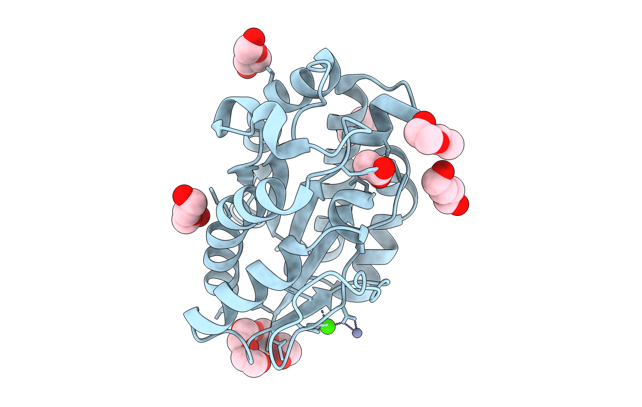 5B5L image