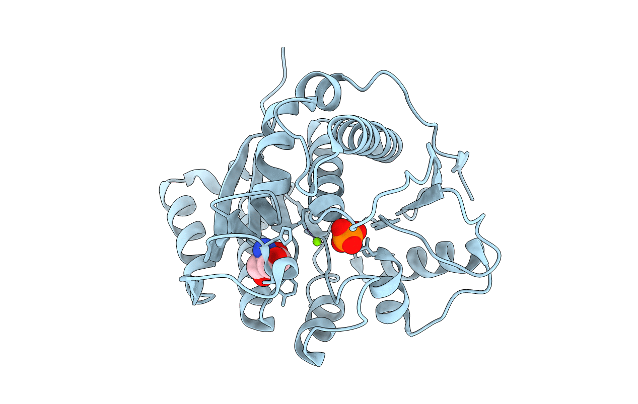 5B6A image