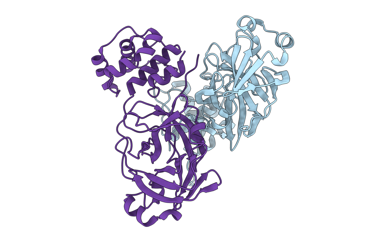5B6O image
