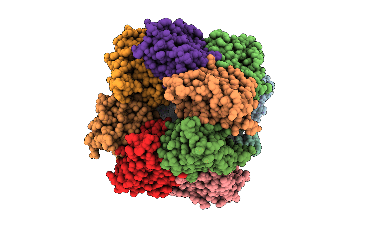 5B6P image