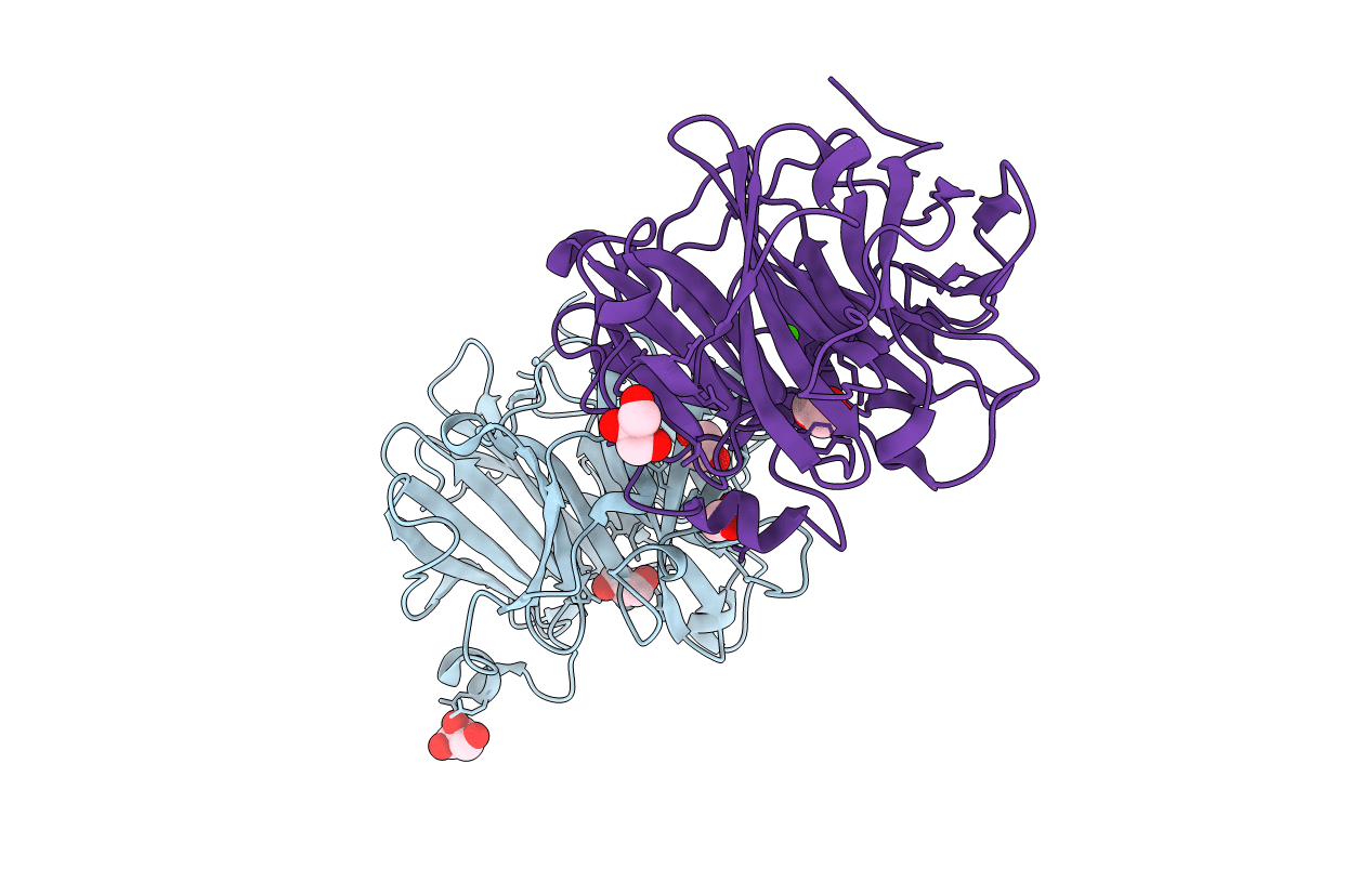 5B6T image