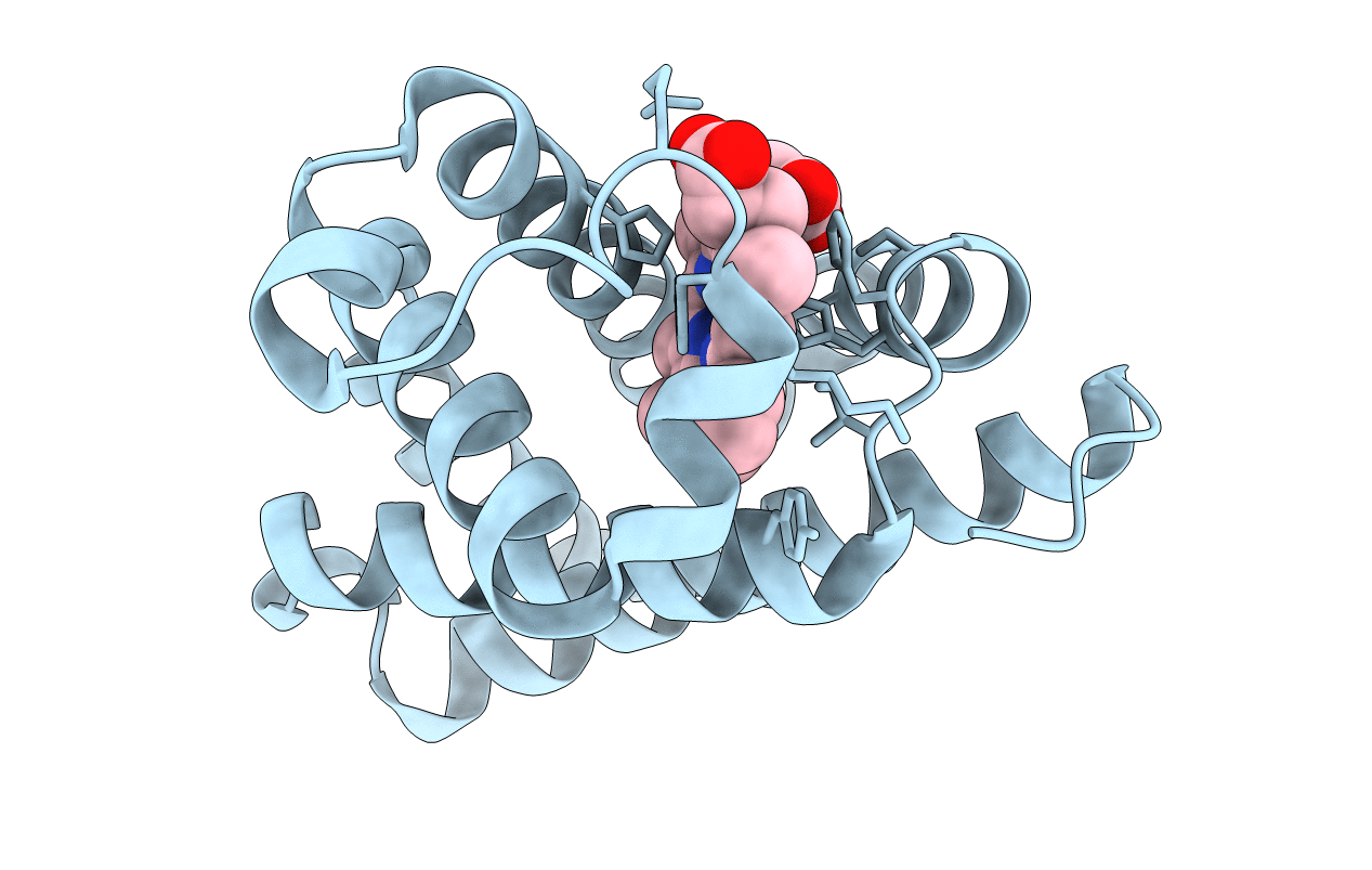 5B85 image