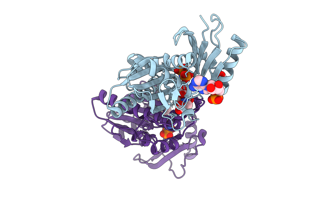 5B8H image