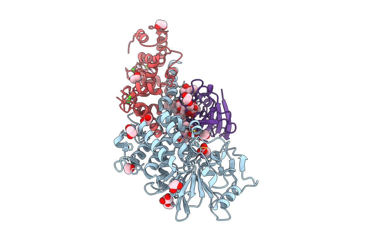 5B8I image