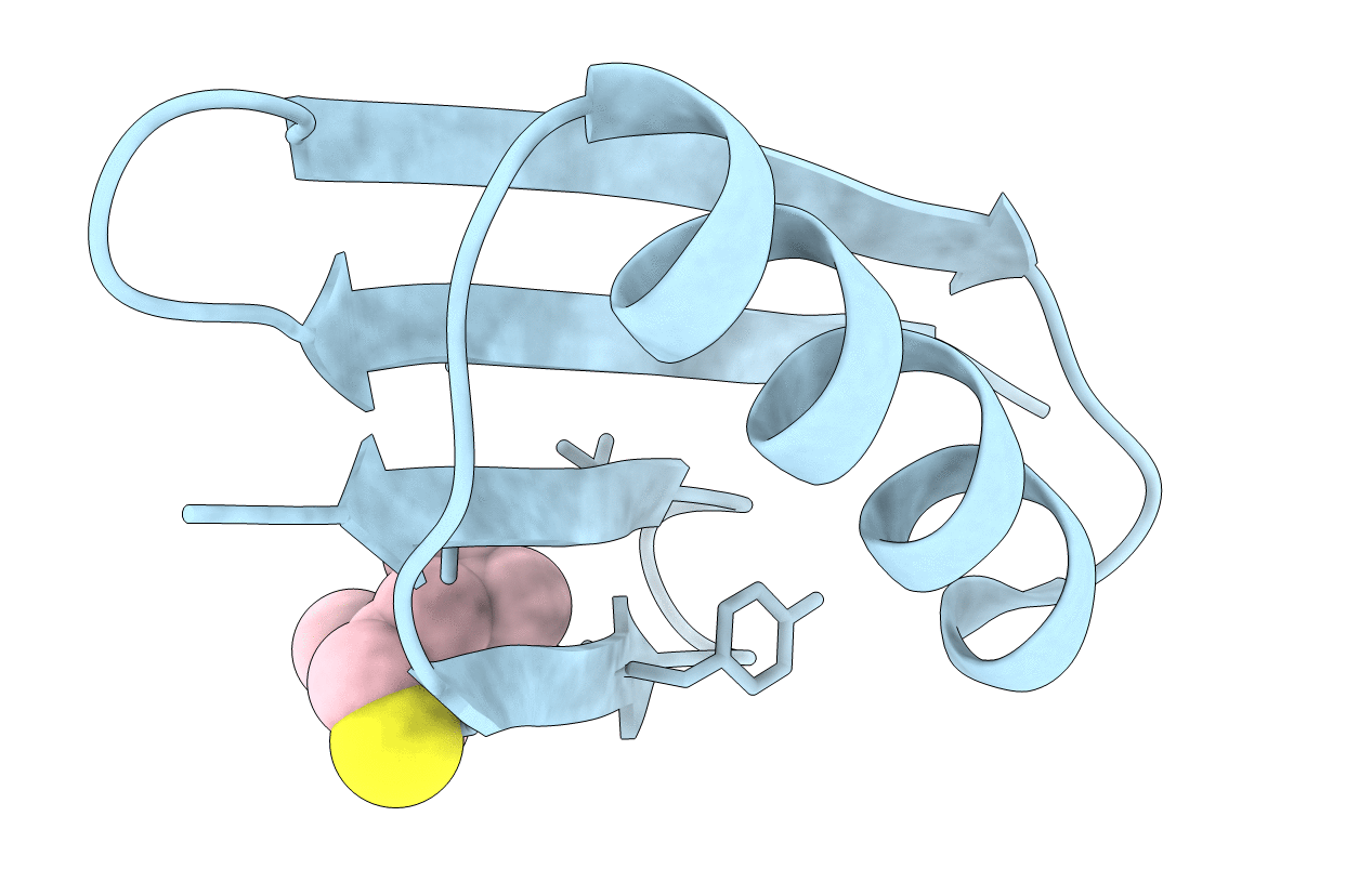 5BMH image