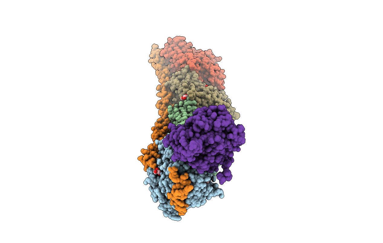 5BMV image