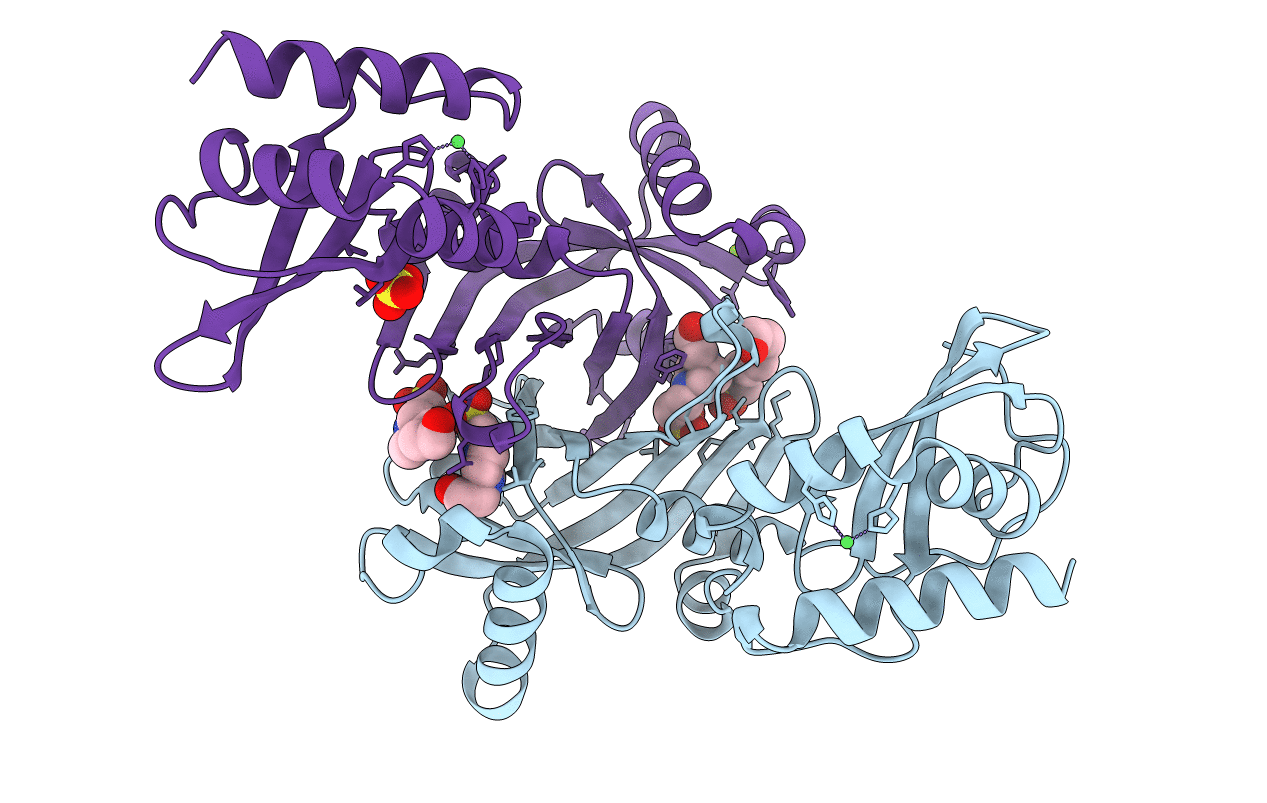 5BNC image