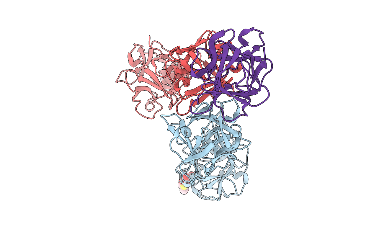 5BP5 image
