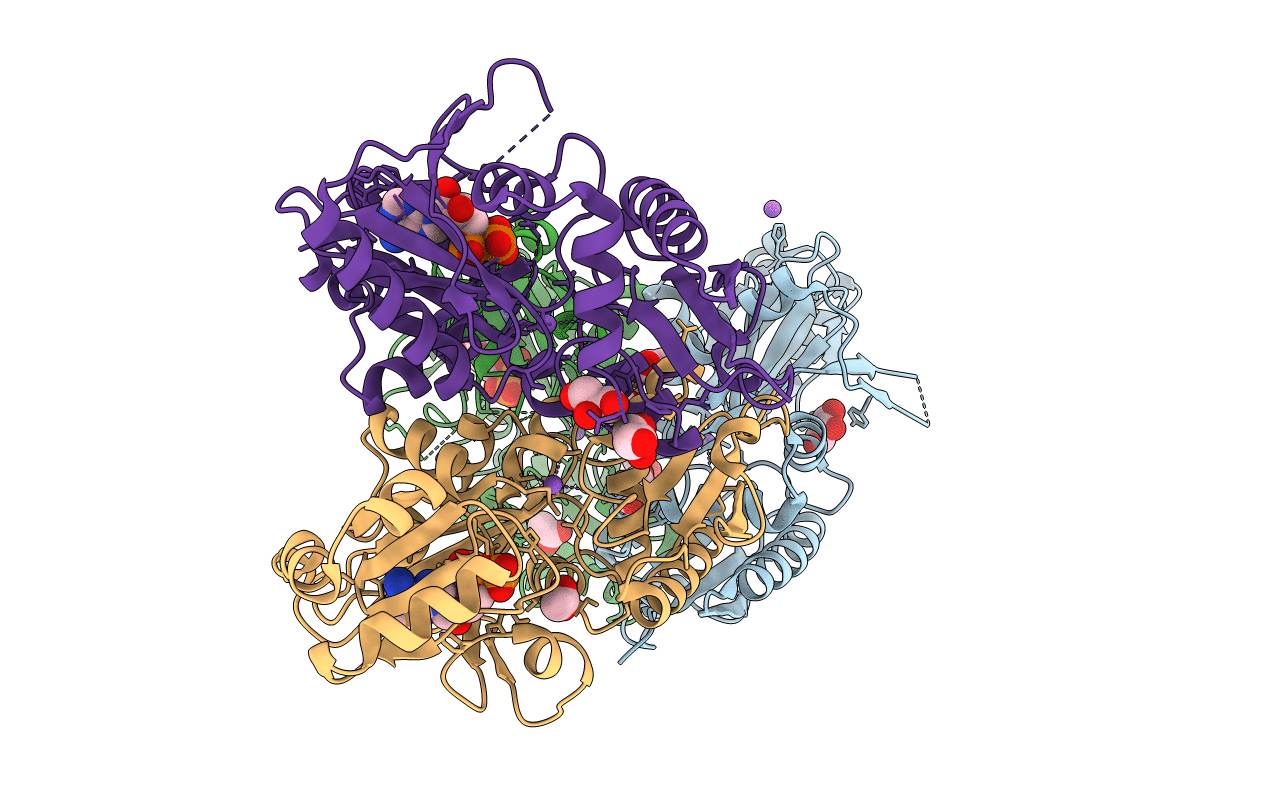 5BPF image