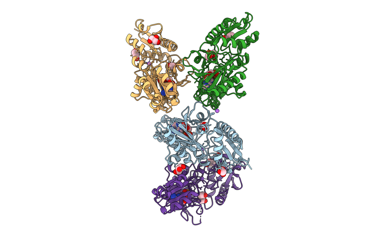 5BPH image