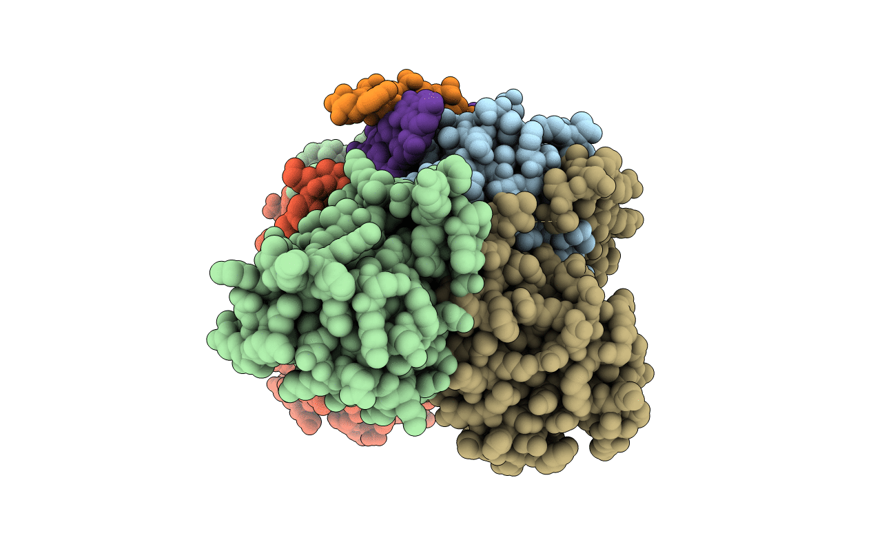 5BPI image
