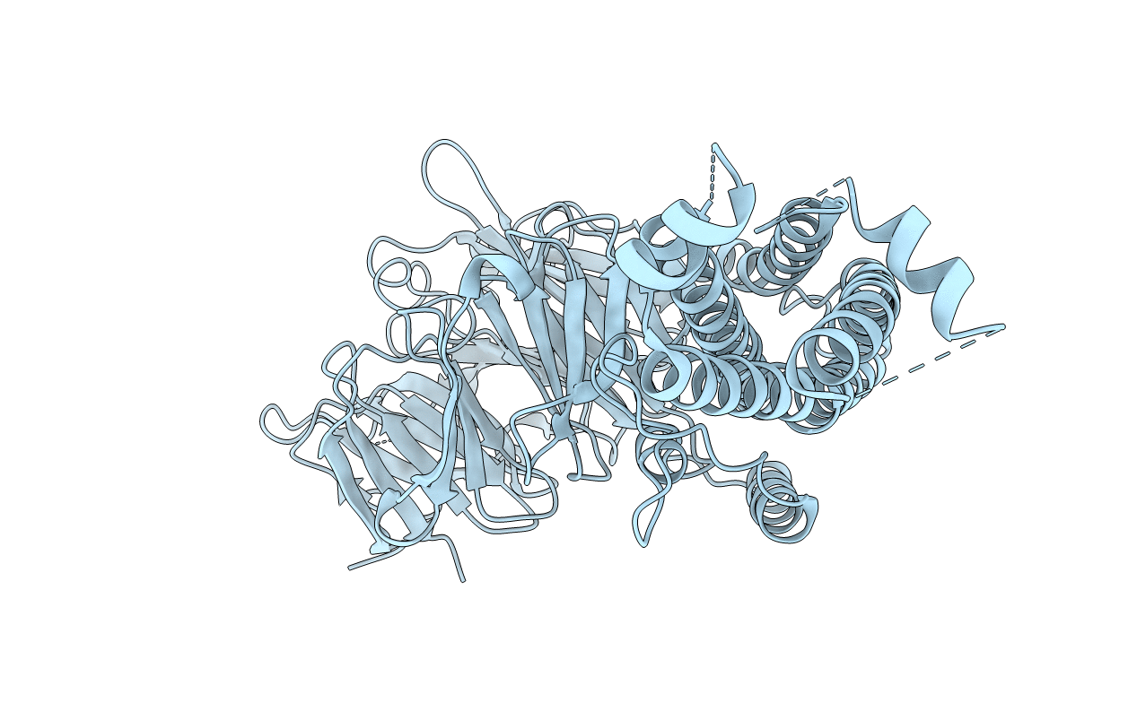 5BPT image