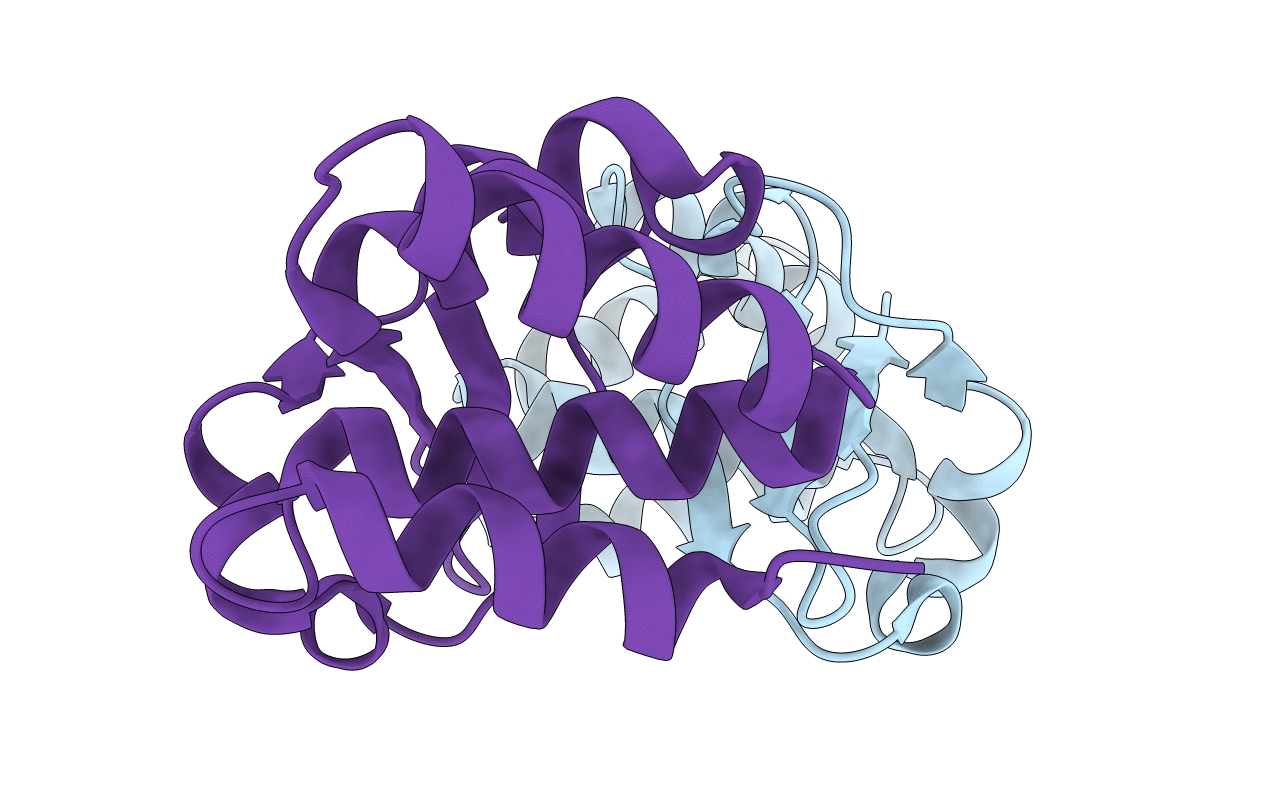 5BPV image