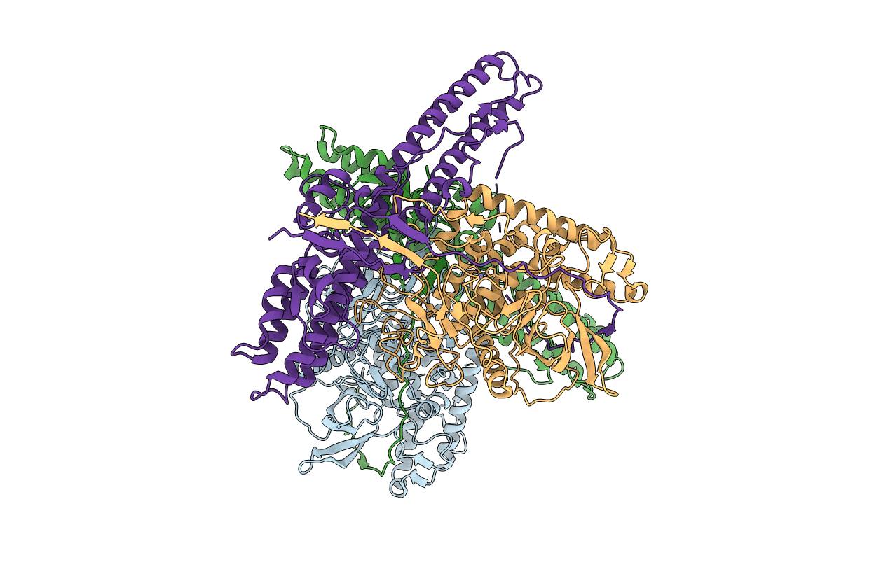 5BQM image