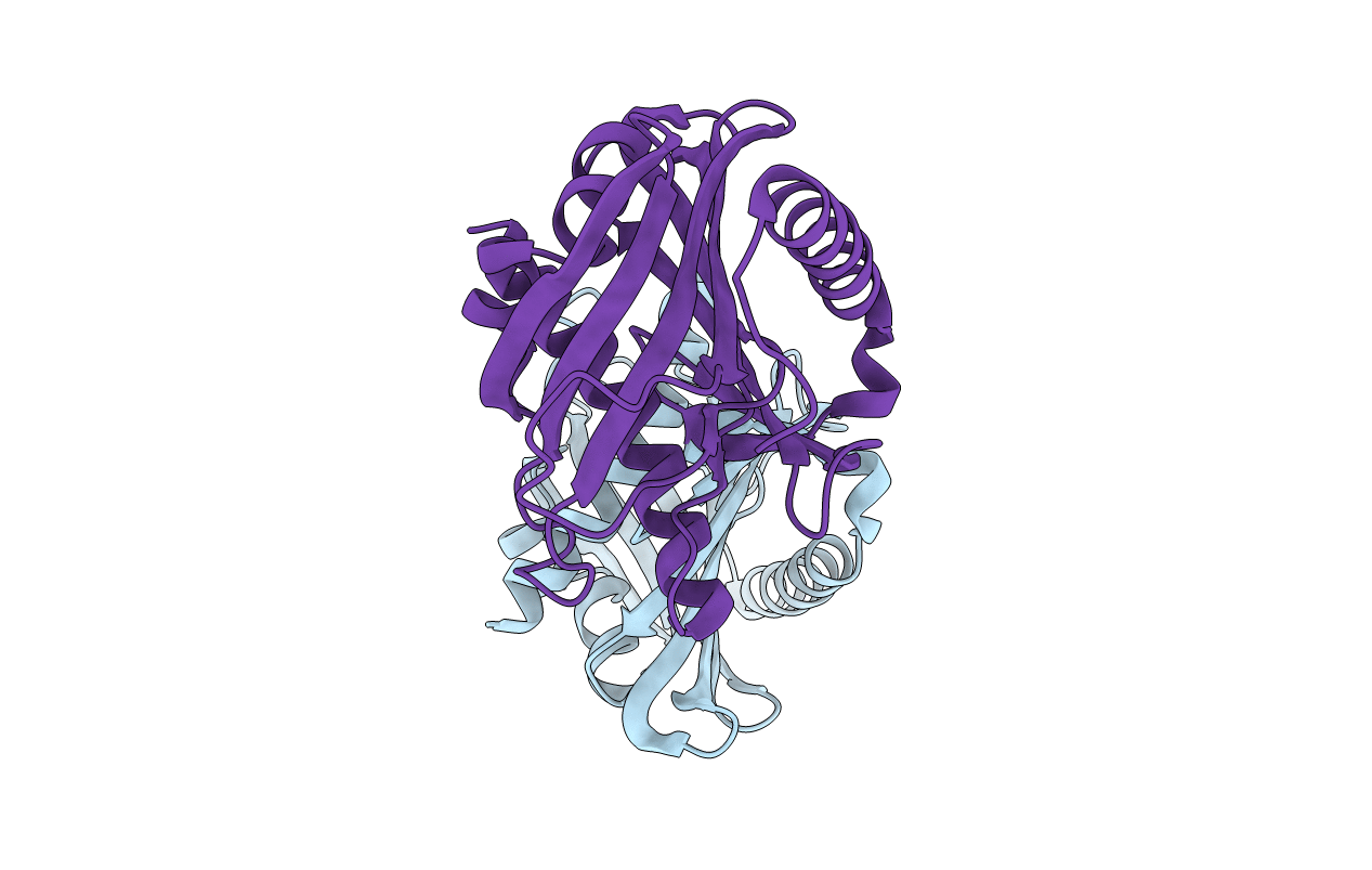 5BRL image