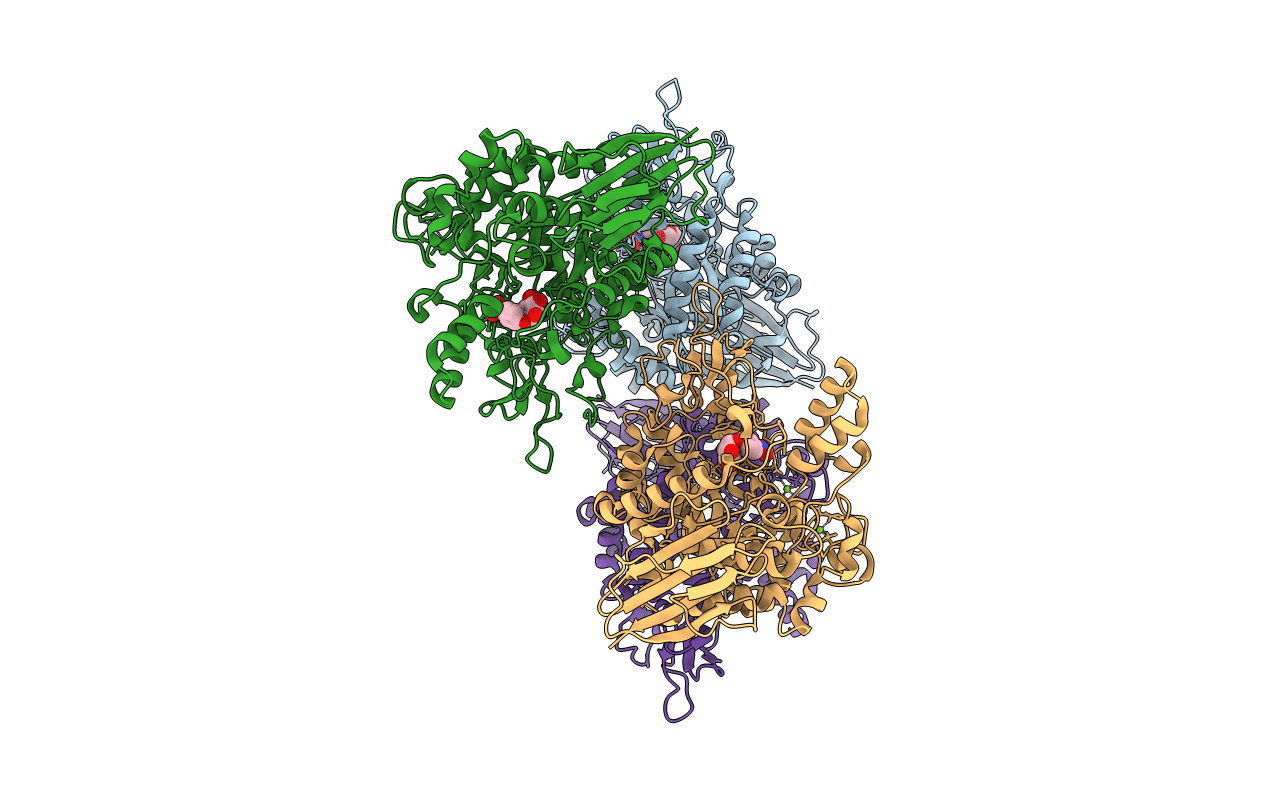 5BRP image