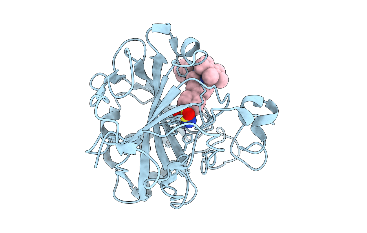 5BRV image