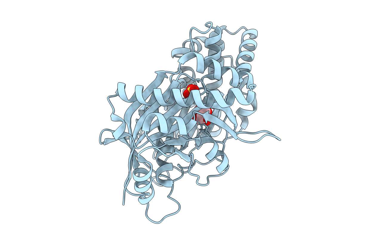 5BSB image