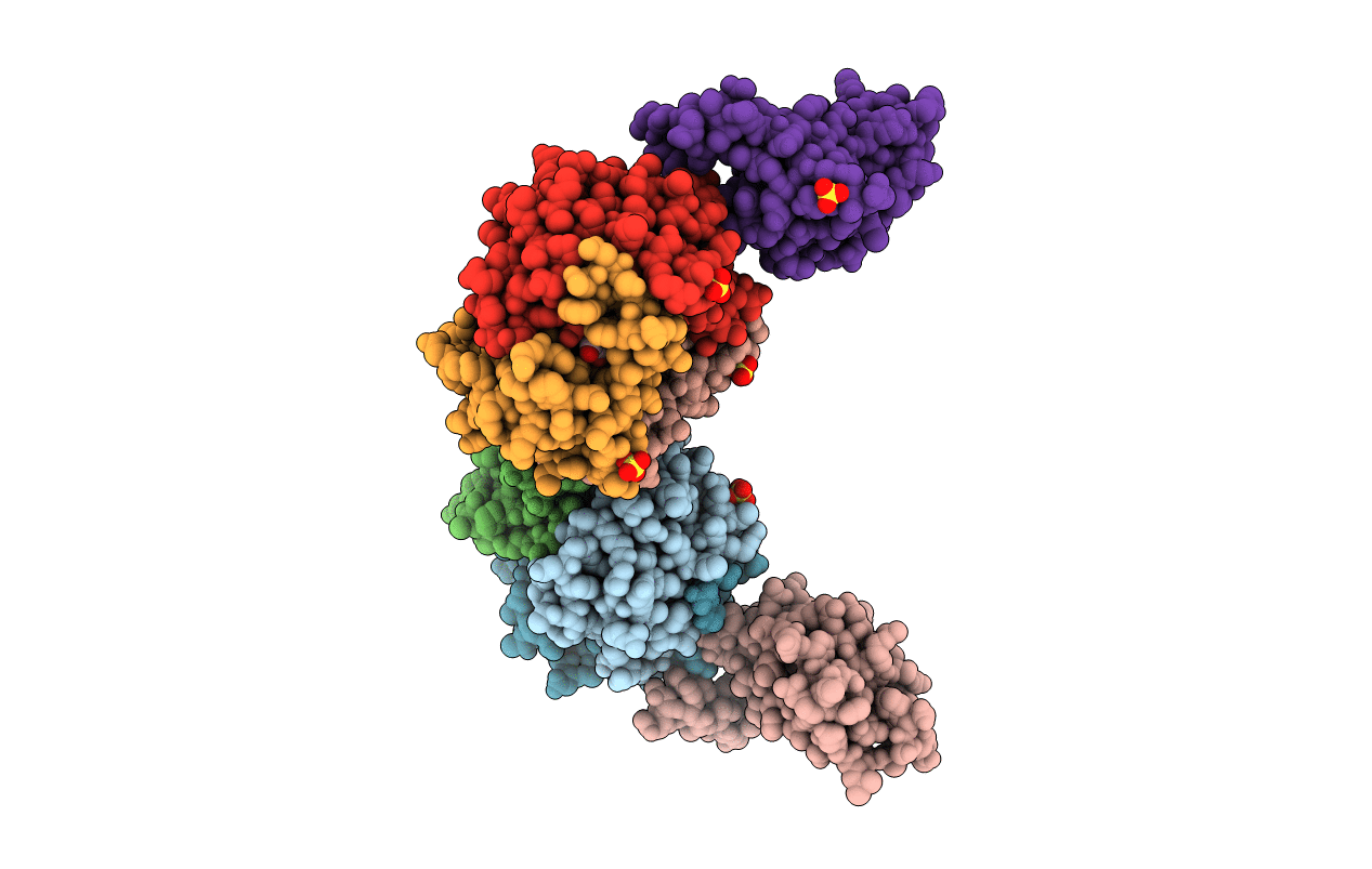 5BSI image