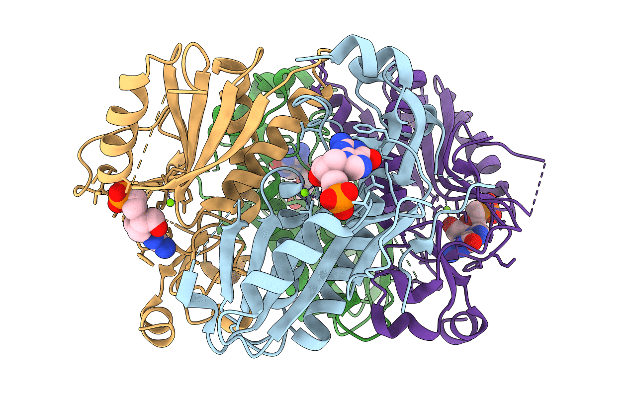 5BSK image