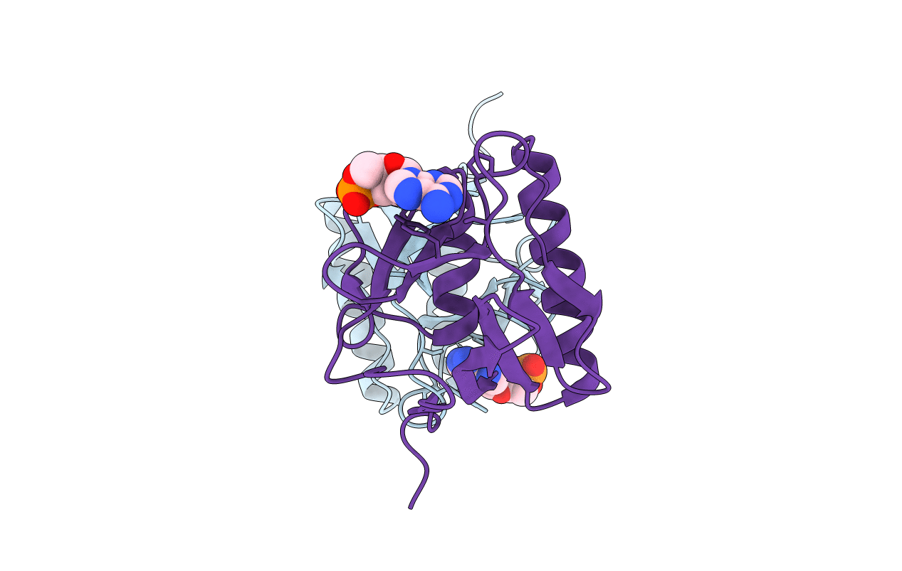 5BTX image