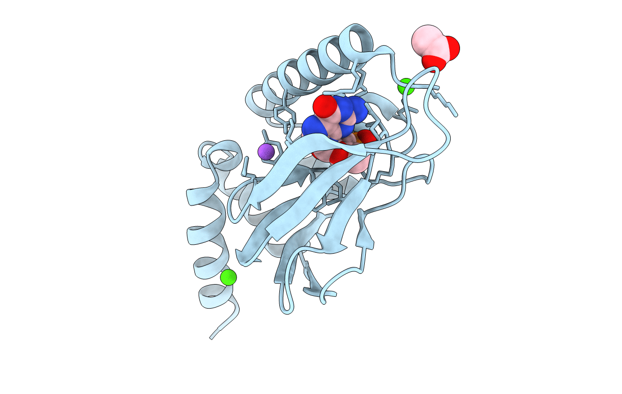 5bv6 image
