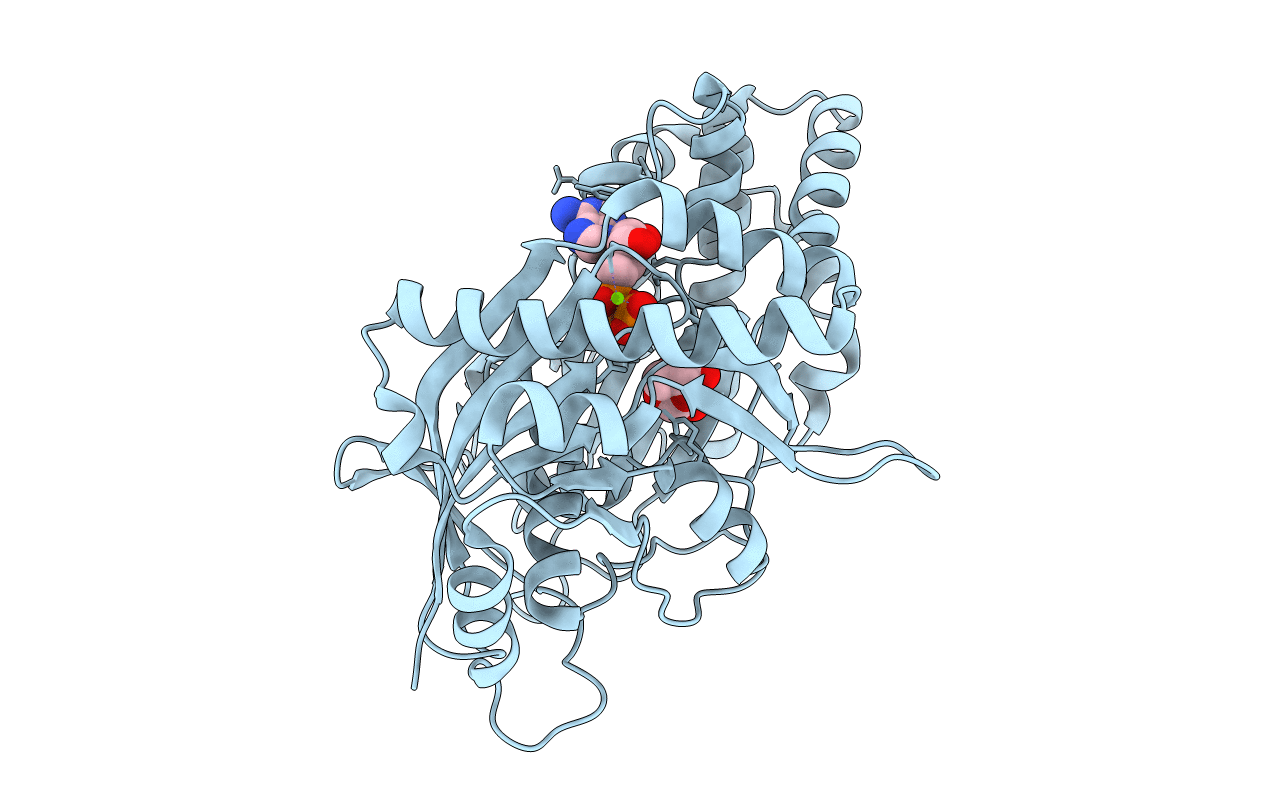 5BVC image