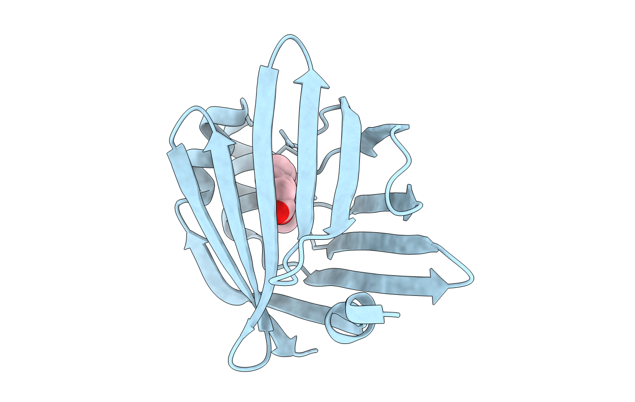 5BVT image
