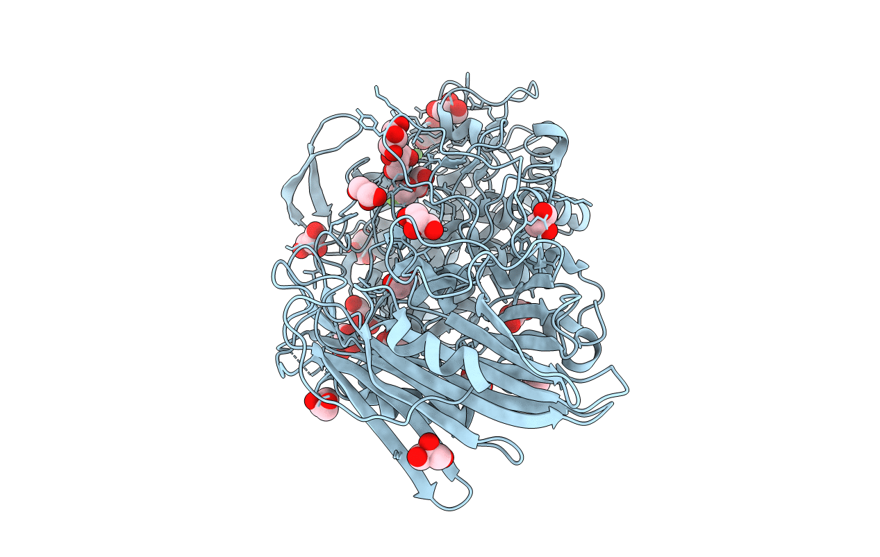 5BX2 image