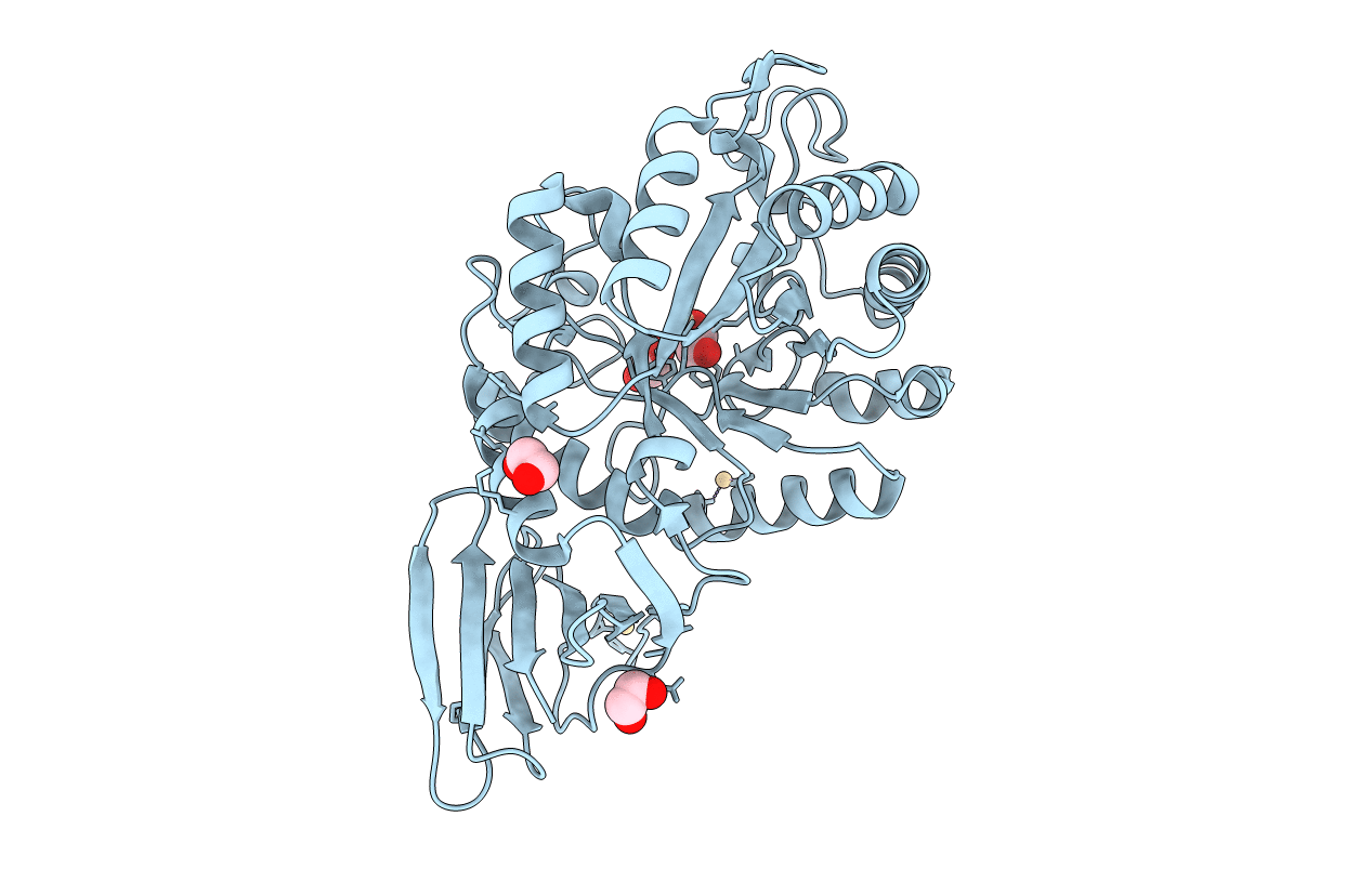 5BX9 image
