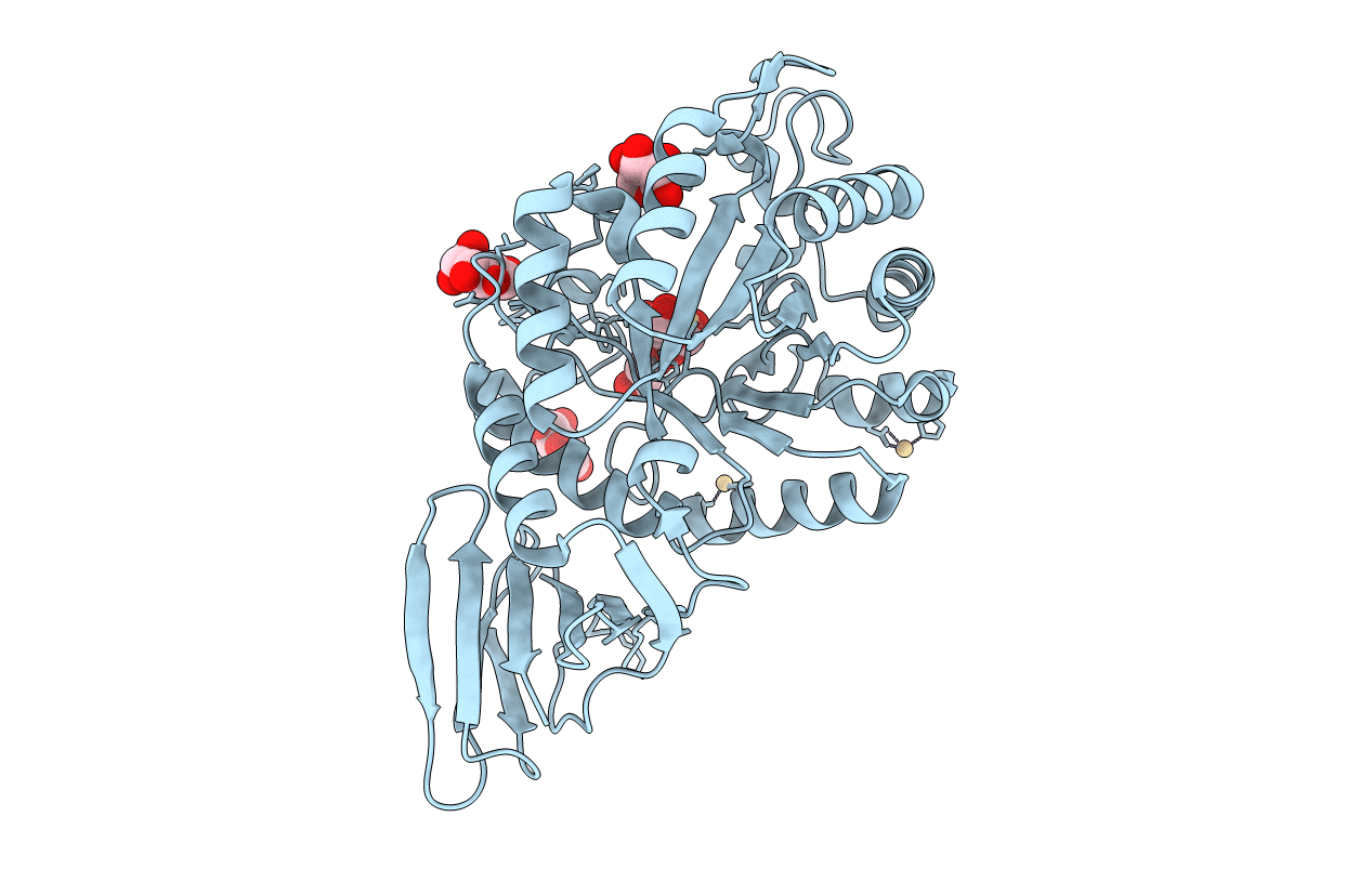 5BXA image