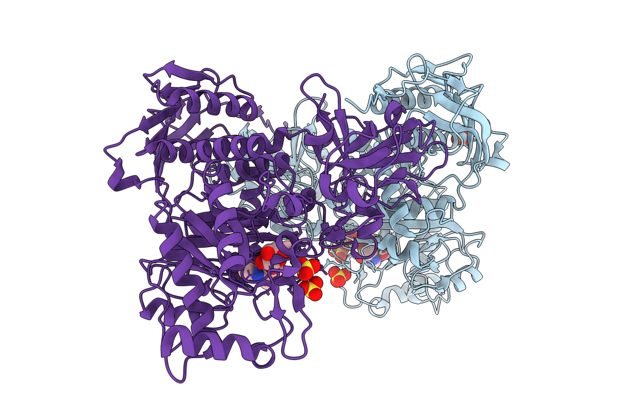 5BXR image