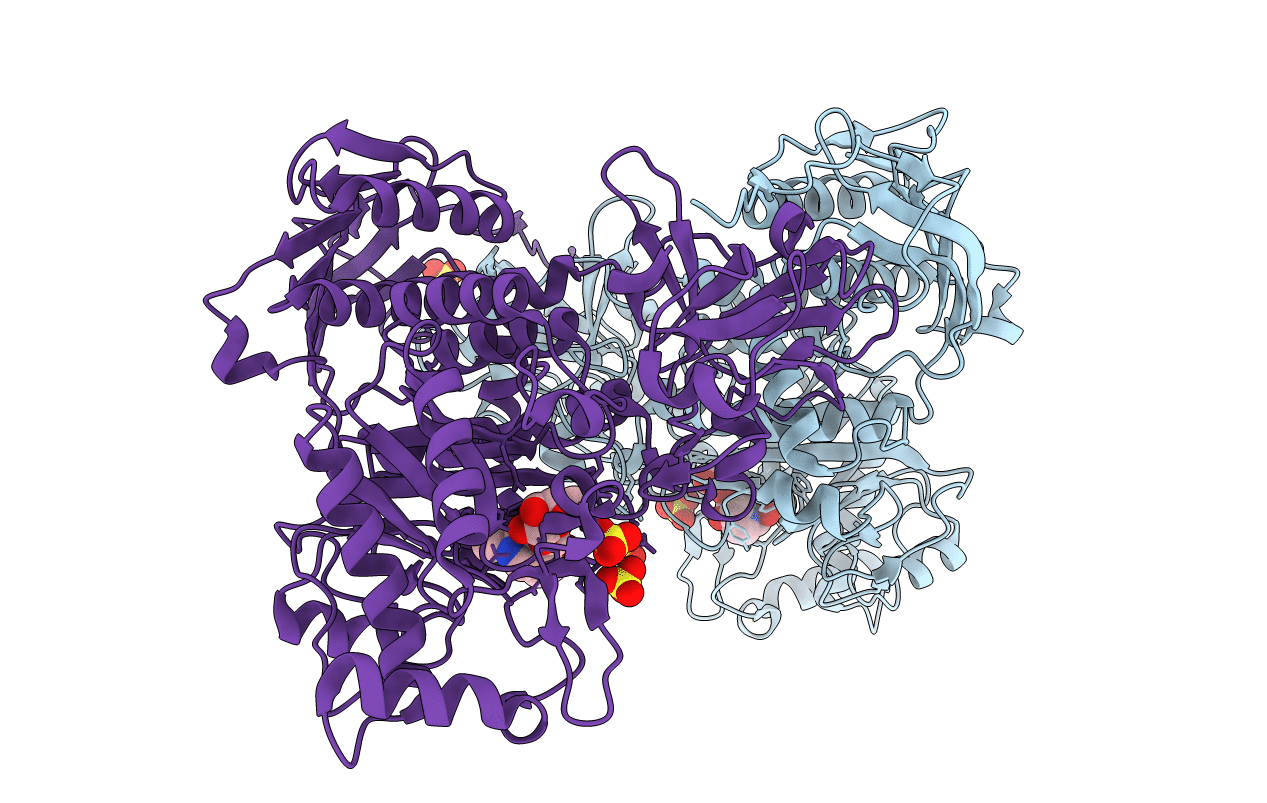 5BXT image