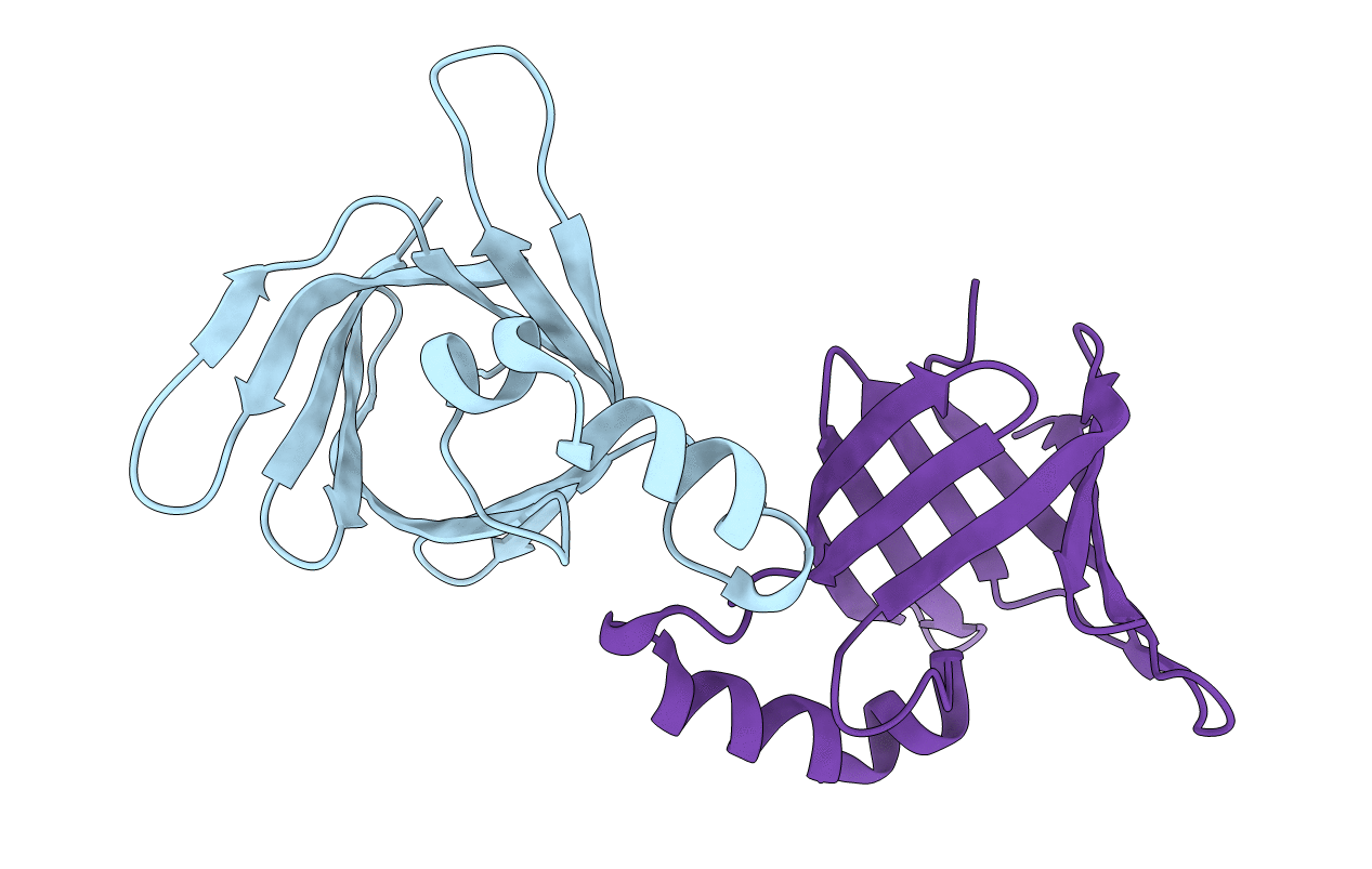 5BYP image