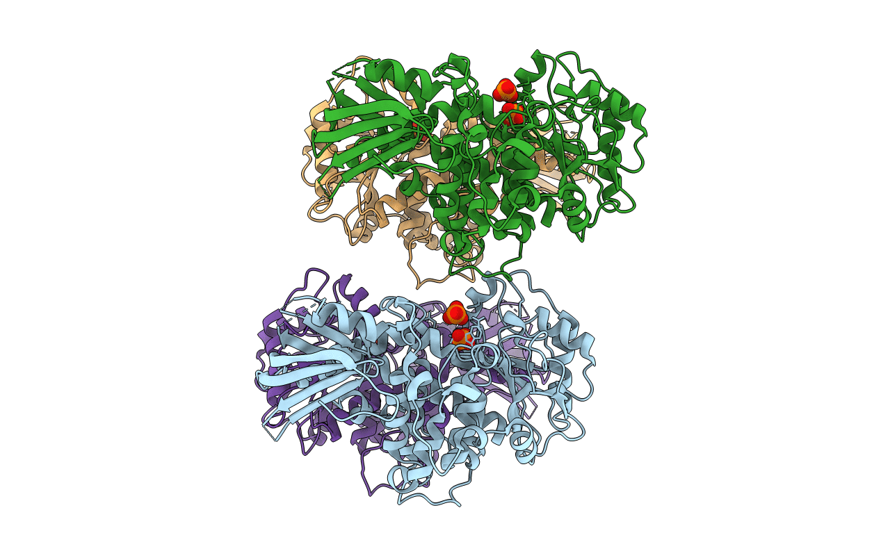 5C16 image