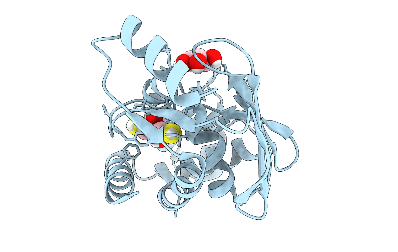 5C17 image