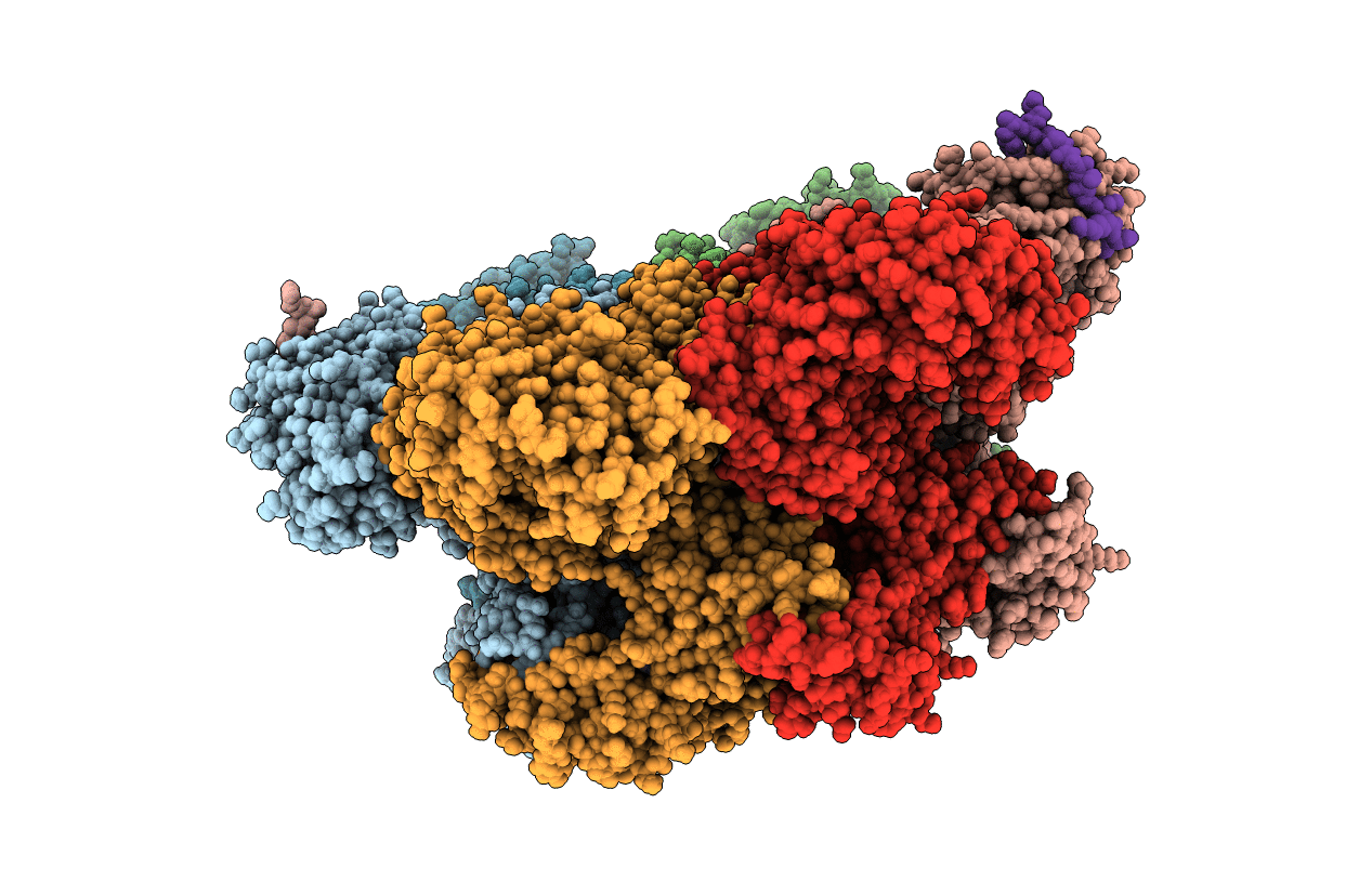 5C1B image