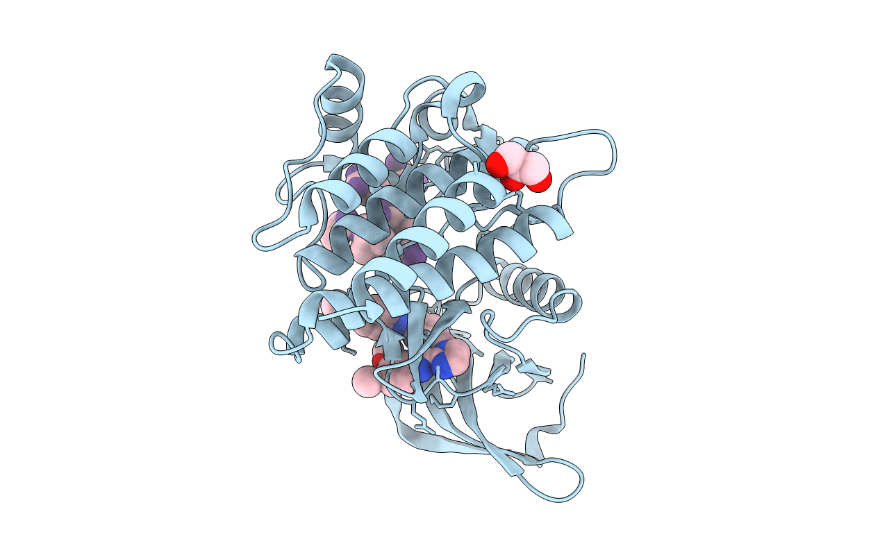 5C27 image