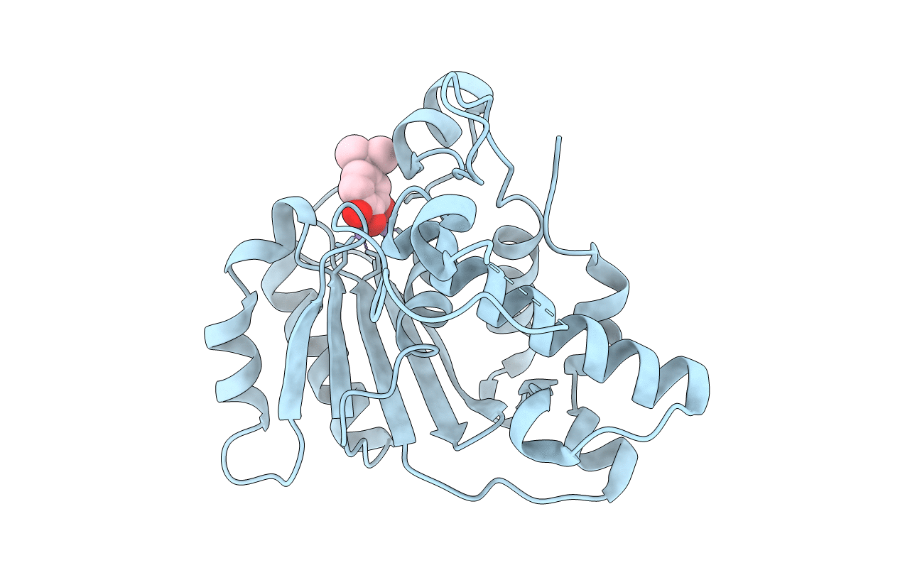 5C2F image