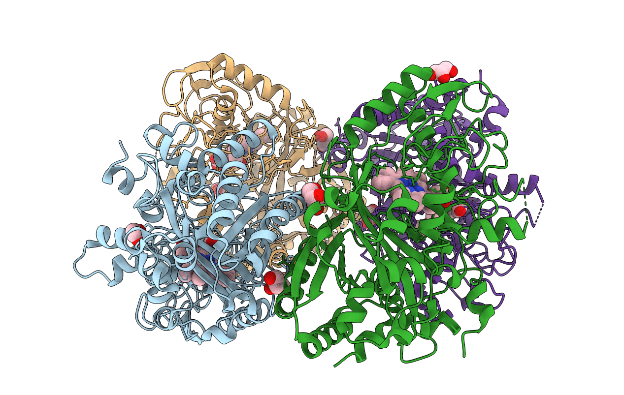 5C2I image