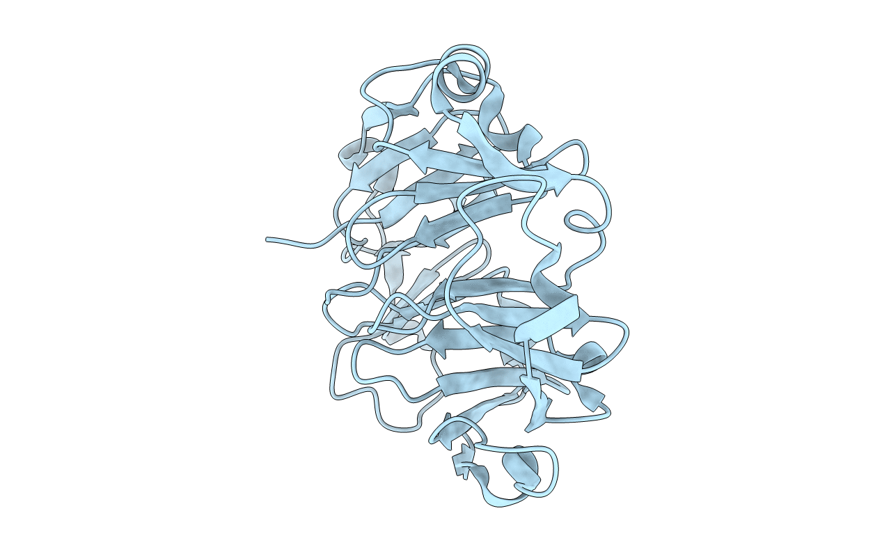 5C2M image
