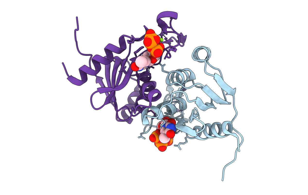 5C2O image
