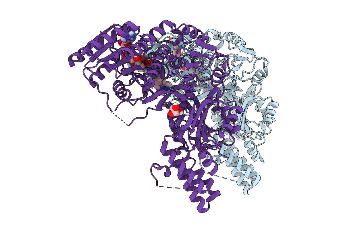 5C37 image