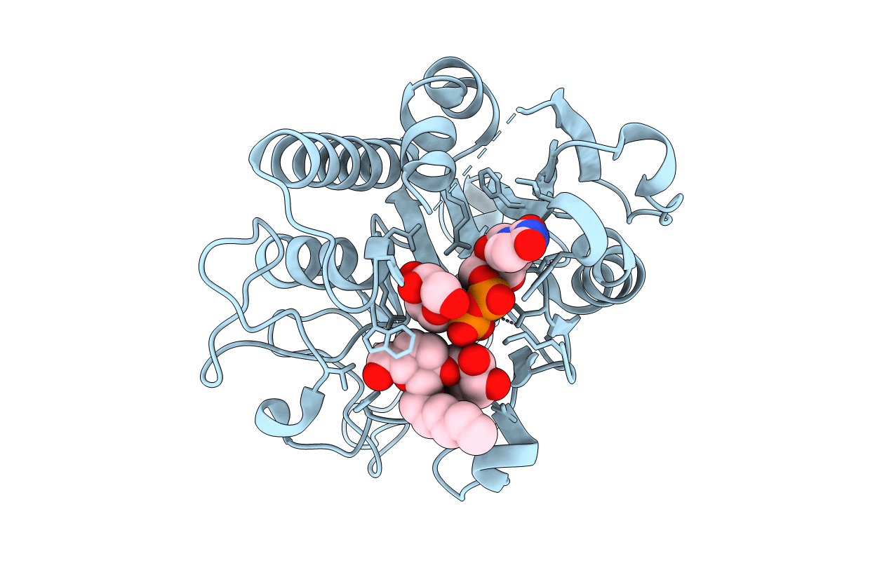 5C3B image